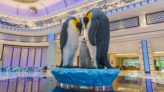 แพ็คเกจโรงแรมจูไห่ Chimelong Penguin รวม Ocean Kingdom/โชว์ Chimelong/สวนสนุก Spaceship/Kaka Tiger พร้อมอาหารเช้าและเย็น อาหารเลิศรส
