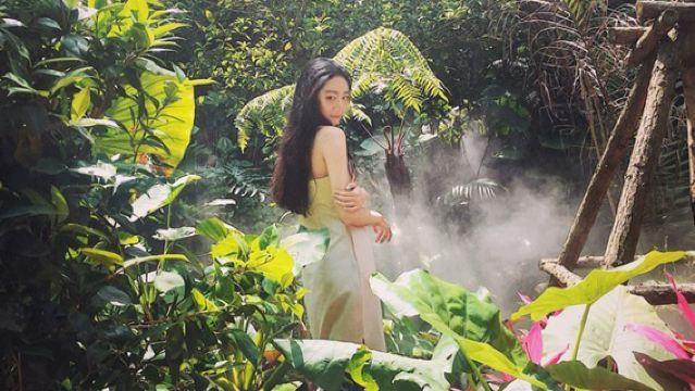 廈門園林植物園+集美學村+海上小火車一日遊【15人純玩團】