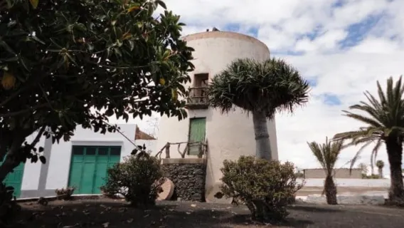Lanzarote: Visit a traditional mill and taste our gofio.