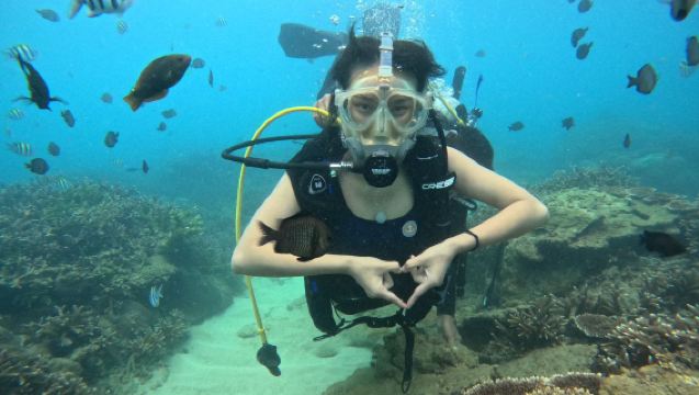 加井島深潛 浮潛+海釣 雙組合選擇 包含裝備出海船票教練陪同