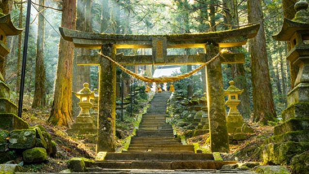 Kyushu Miyazaki 1-Day Tour | Kamishikimi Kumanoimasu Shrine, Takachiho & Amanoiwato Shrine, etc. (English/Chinese Optional)