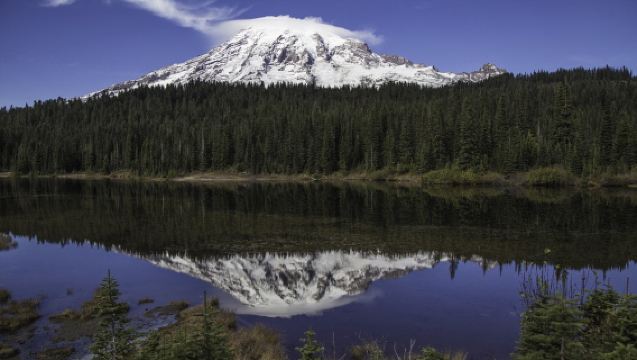 美國西雅圖雷尼爾火山國家公園包車一日遊 | （不含門票）