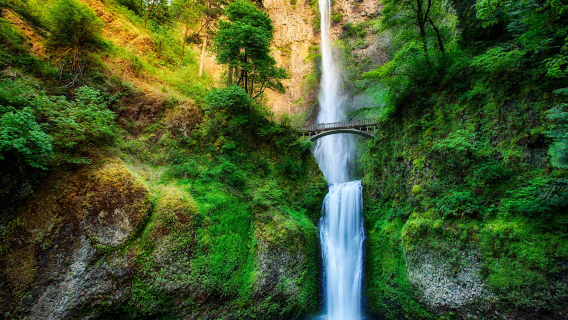 1-day private chartered tour to Portland, Mount Hood National Forest, Trillium Lake and Multnomah Falls