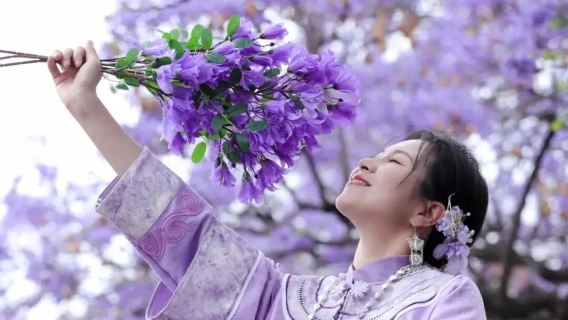 1-day tour to Jiaochang middle road + Haihong wetland + Laoyu river + Haiyan village (viral jacaranda photo spot)