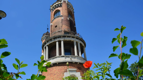 Chinese private charter - Belgrade round-trip + Novi Sad synagogue + Trg slobode + Zemun