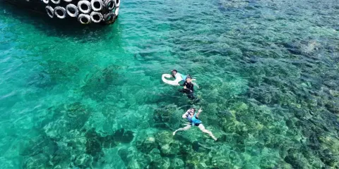 芽莊黑珍珠號郵輪海釣浮潛拼團遊【中文導遊+安全員+午餐】