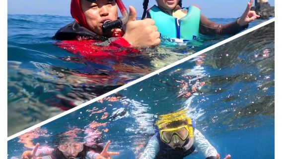 陵水雙帆石遠海珊瑚區浮潛 提供浮潛裝備潛水服 魚食 專業教練