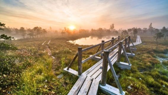 From Riga: Ķemeri Sunrise Tour with Breakfast