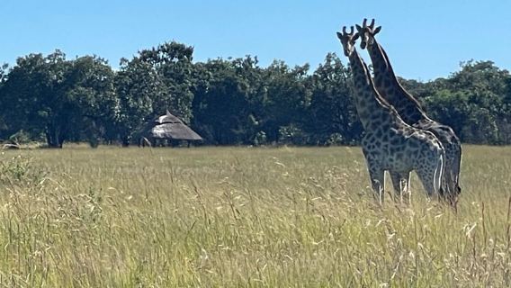 Harare: Half-Day Outdoor Adventure