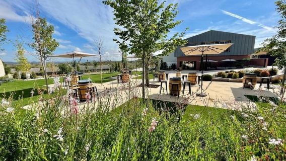 Rioja: Cata y degustación de vinos en la Bodega Familiar Martínez Alesanco