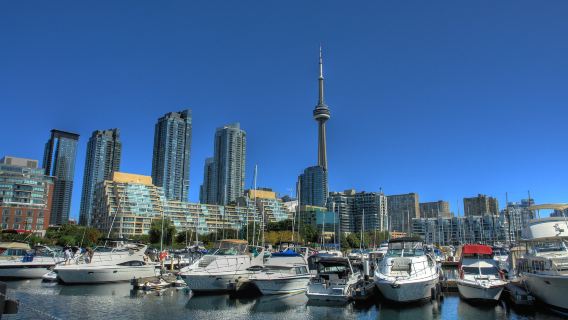Toronto CitySightseeing city hop-on hop-off bus (lake tour + flexible hop-on hop-off + diverse North American city)