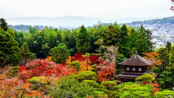 Kyotos Ginkaku-ji, Det sølvbelagte tempel: Zen-skønhed og wabi-sabi æstetik | 2-timers dybdegående rundvisning