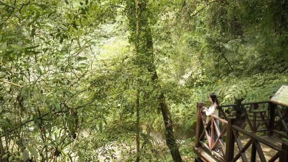 山獅靜臥，湖水安眠，旅人慢行～大埔水庫 + 獅頭山 一日遊