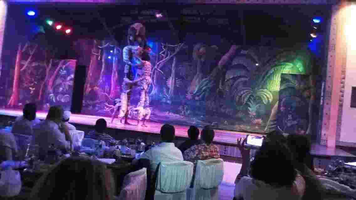 safari cat dancers show and dinner