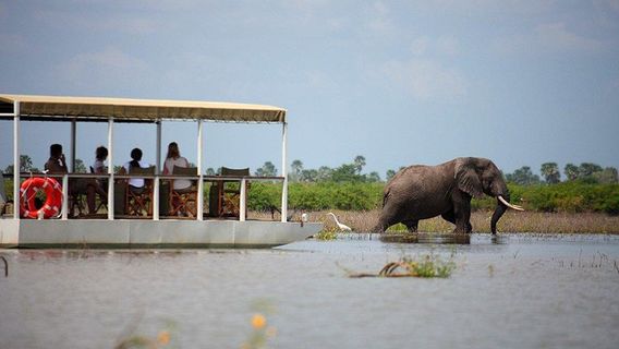 ZanzibarTours