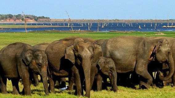 AnuradhapuraTours