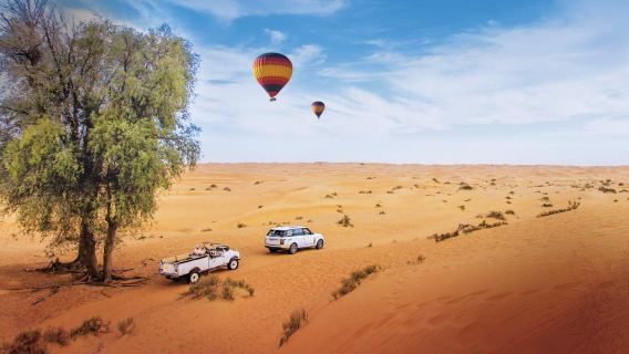 Tour giornaliero in mongolfiera nel deserto di Dubai con colazione, spettacolo di falconeria e passeggiata in cammello