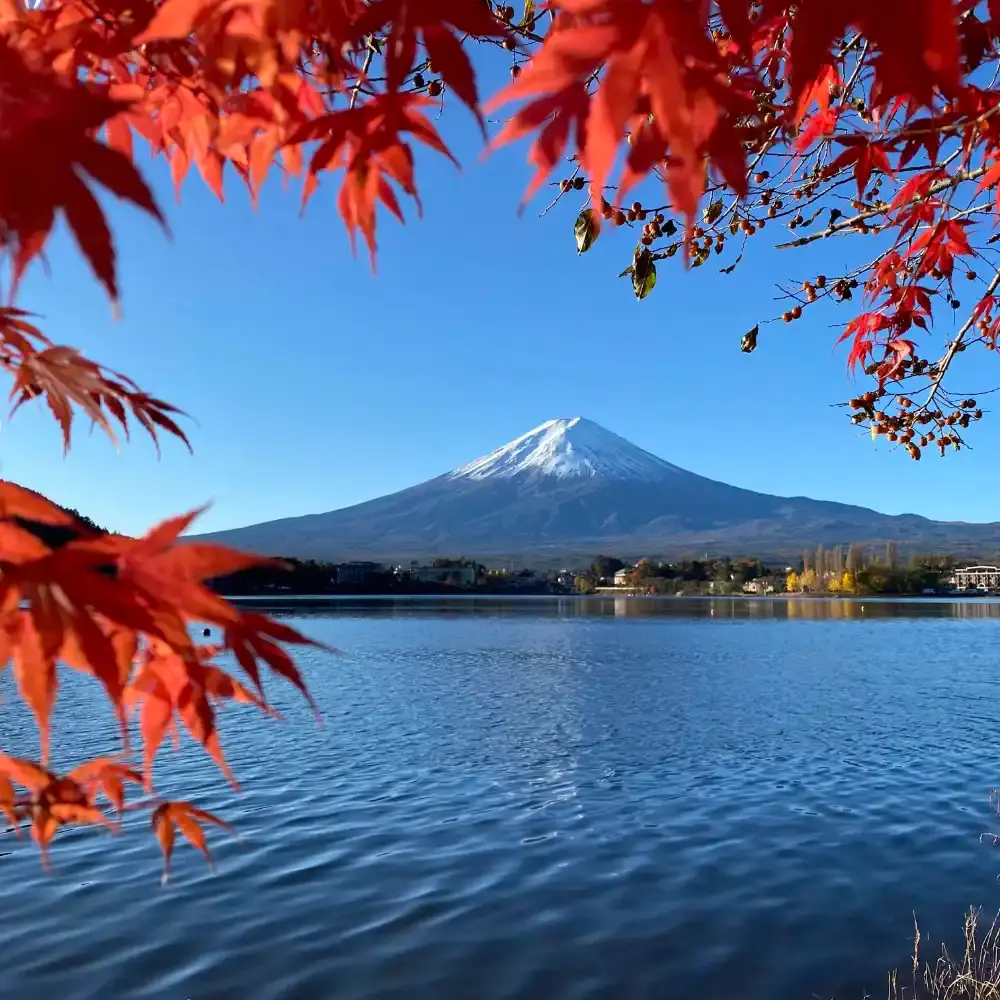 1-day tour to Mount Fuji + Lake Kawaguchi panoramic cable car +