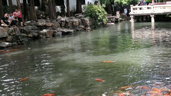 The site of the first CPC National Congress + Yu Garden in-depth guide with headsets