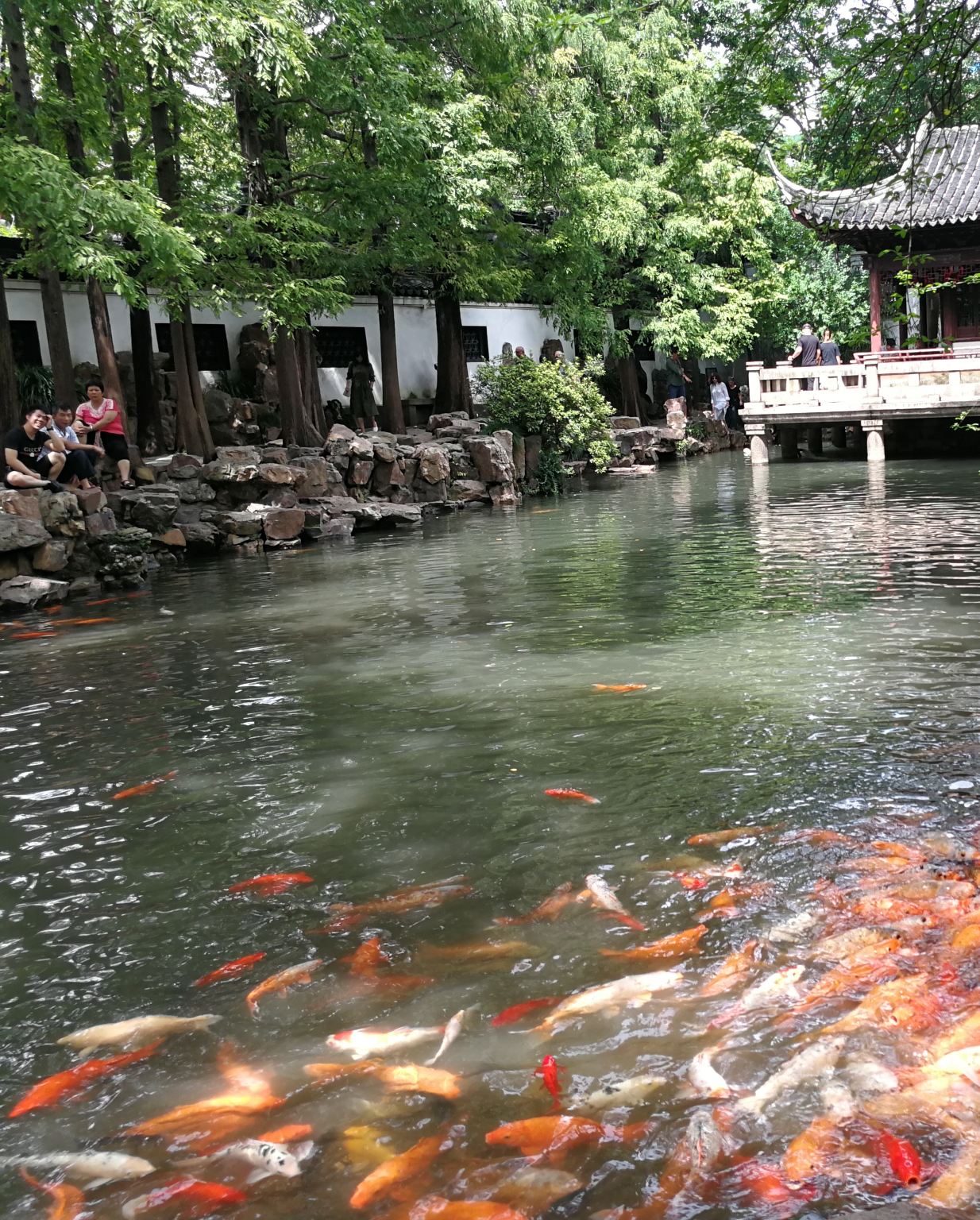 Sede del Primo Congresso Nazionale del Partito Comunista Cinese + Giardino Yuyuan con visita guidata approfondita inclusi auricolari