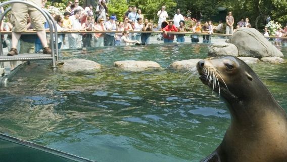 New York: 30+ Top Sights Walking Tour + Central Park Zoo Entry