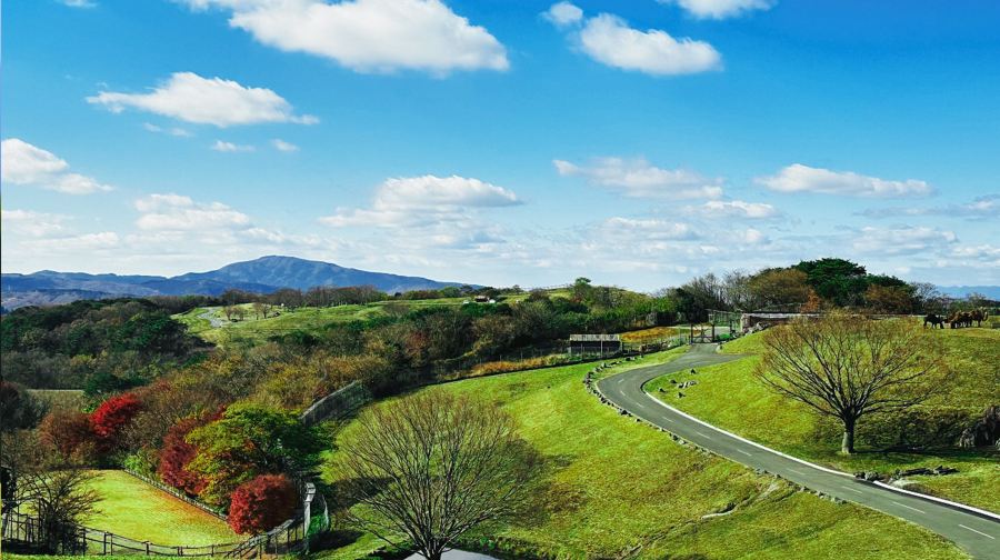 日本大分九州自然動物園一日遊：動漫童話小鎮&動物互動之旅