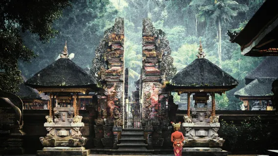 Tour riêng bán tùy chỉnh ở Ubud - Tùy chọn trọn ngày hoặc nửa ngày