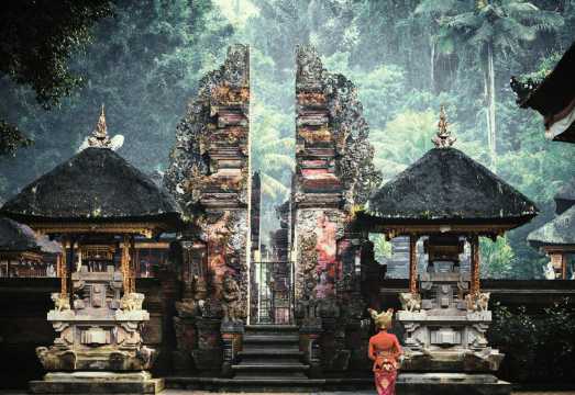 Ubud Semi Customised Private Tour - Full Day or Half Day Option