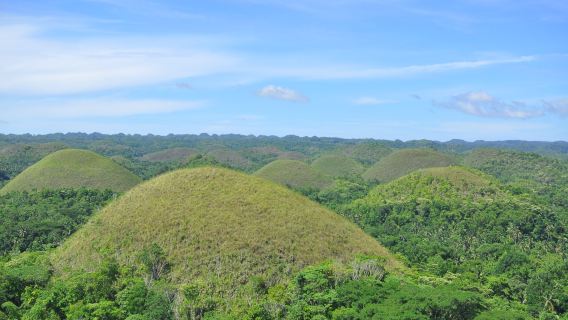 Bohol Countryside Tour