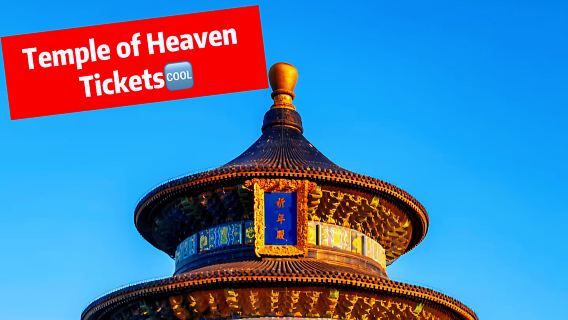 Vé Điện Tử Thiên Đàn: Vào Cửa Bằng Mã QR Tức Thì & Bỏ Qua Hàng Chờ