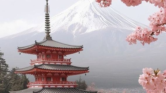 NarusawaTours
