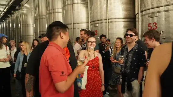 Kakheti Wine Region: Signagi and Bodbe Tour with 10 Wine Tastings