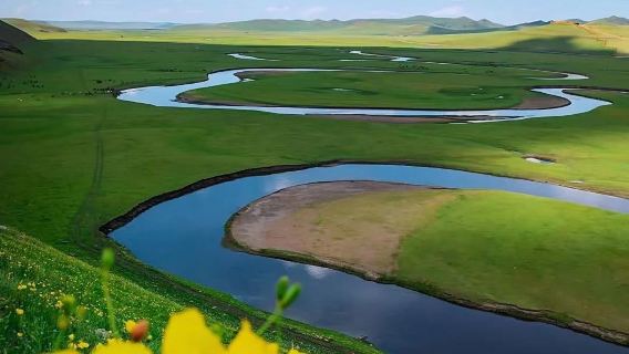 海拉爾+呼倫貝爾大草原+莫日格勒河一日來回【一單一團獨立】