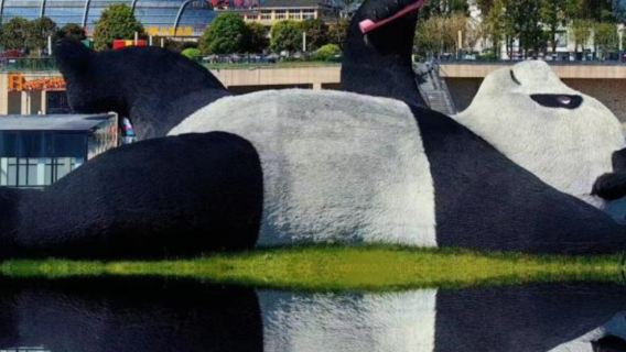 Chengdu Panda Base and City Private Tour