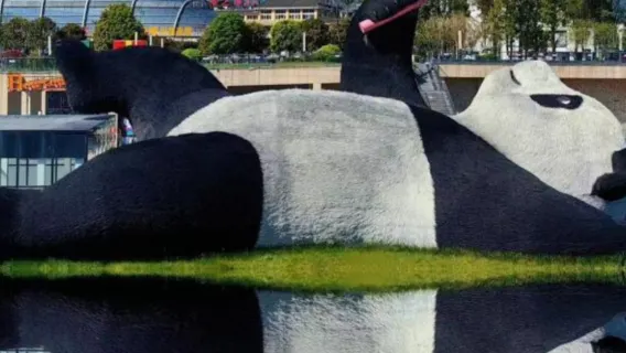 Chengdu Panda Base and City Private Tour