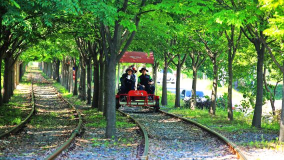tour 1 ngày đến Đảo Nami, Hàn Quốc: [Trang trại Alpaca & Xe đạp đường sắt & Vườn ươm Morning Calm]