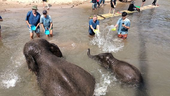 เชียงใหม่ LG Elephant Camp | Living Green | เดินป่า | ล่องแพไม้ไผ่