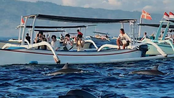 발리 로비나 돌고래 체험+바다낚시 당일 치기 여행 [전용 차량 픽업+낚시 도구 제공] 맞춤형 가능