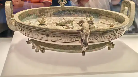 Shanghai Natural History Museum + Shanghai Museum East Hall 1- day tour Life Epic + Civilization Folding