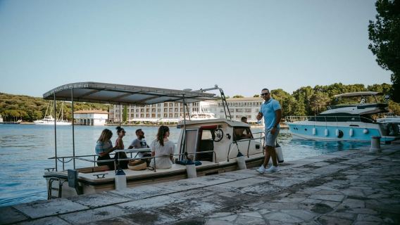 Pula: Boat Dolphin tour and Romantic Sunset at N.P. Brijuni