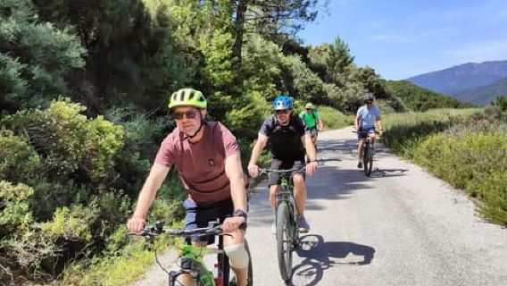 Marbella: tour esplorativo in mountain bike elettrica