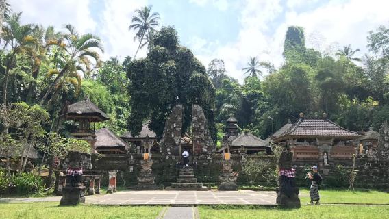 우붓: 원숭이 숲, 계단식 논, 물 사원, 폭포