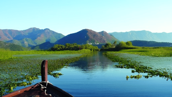 Day Tour of Kruja and Shkodra from Tirana