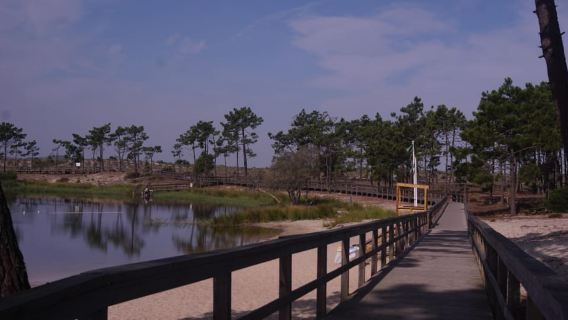 Lagoa da Ervedeira E-bike and Stand Up Paddle tour