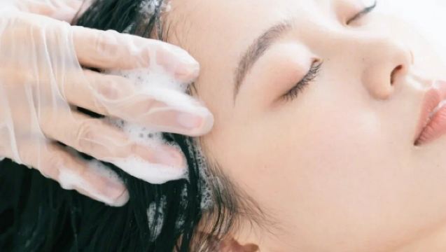 中山市博物館+孫中山故居+詹園+茶麸養髮一日遊【特色體驗】