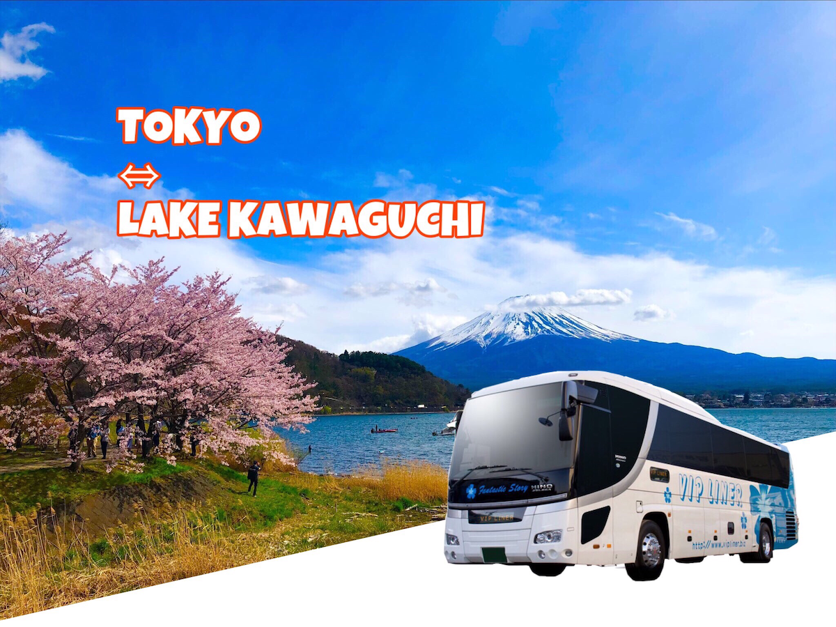 Direct one-way express bus ticket: Tokyo to Kawaguchiko