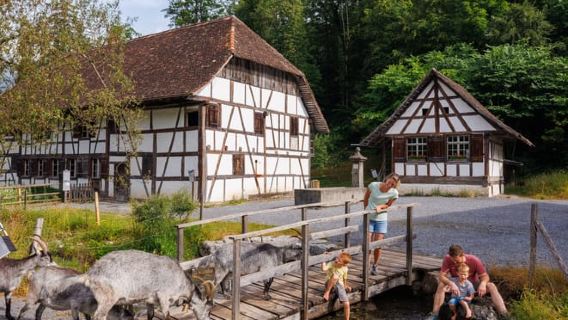 Interlaken: entrada al Museo al Aire Libre Ballenberg