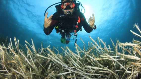 Kos: Beginner Scuba Diving at Pserimos Island