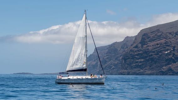 Los Gigantes: Sailing Excursion with Swimming, Drink & Tapas