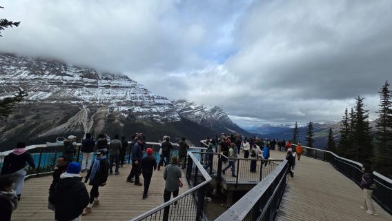 Tur Sehari Penuh ke Peyto, Moraine, Louise Lakes, J. Canyon...